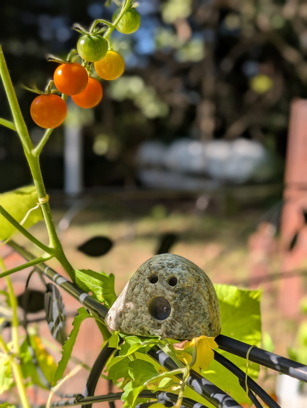 Garden Ghosts
