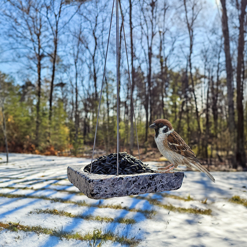 Alfresco