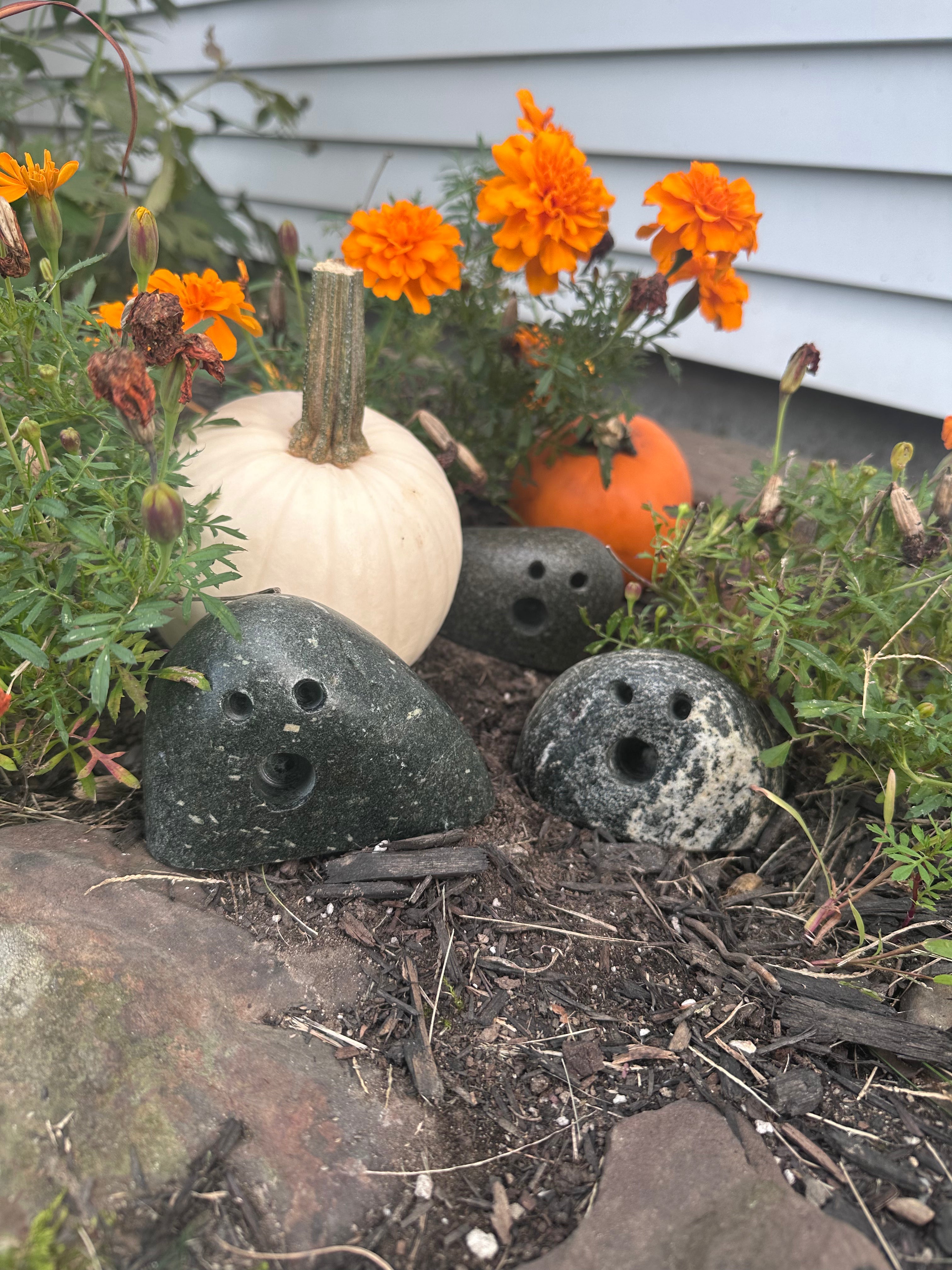 Garden Ghosts