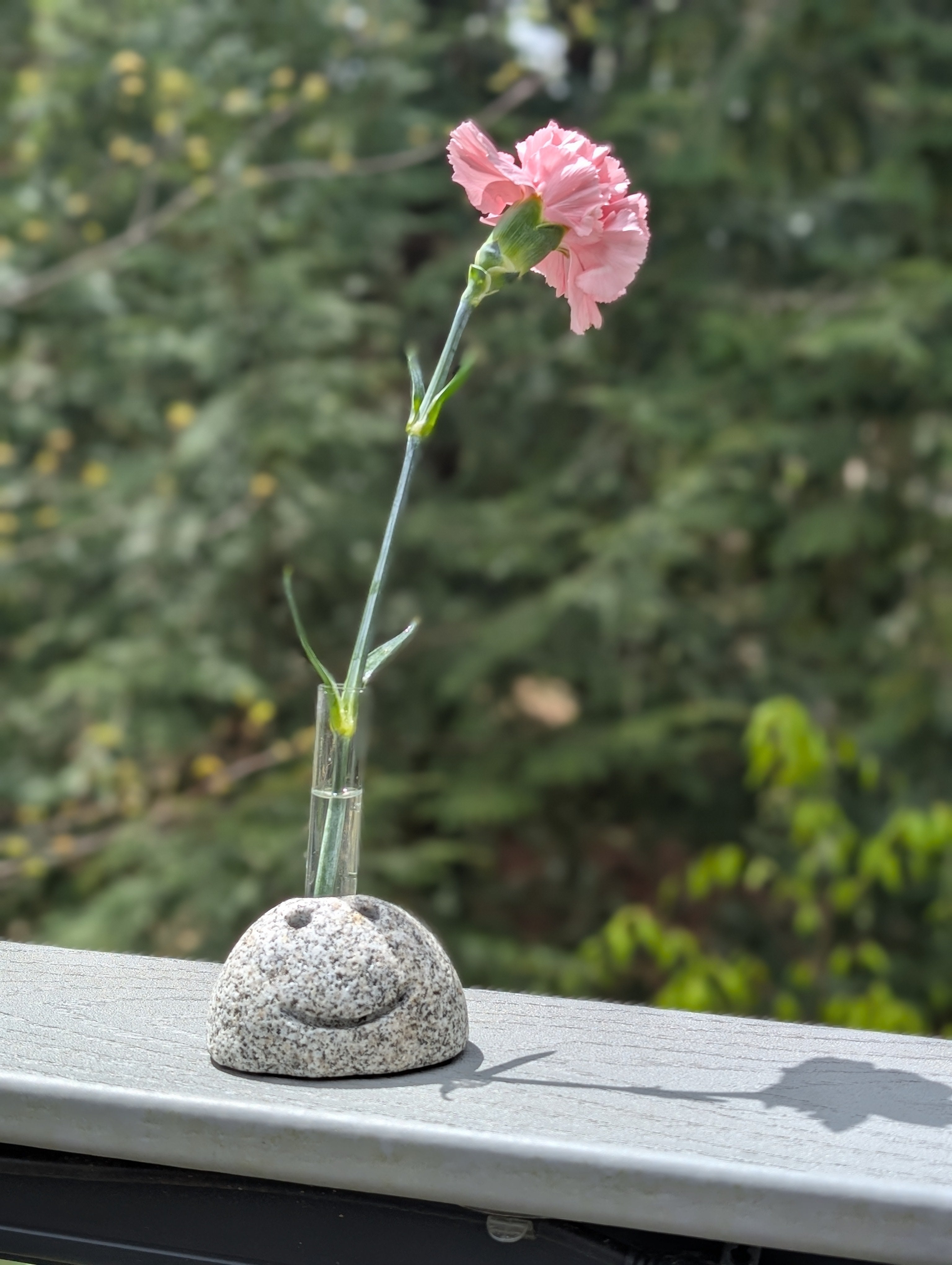 Blossom Buddy