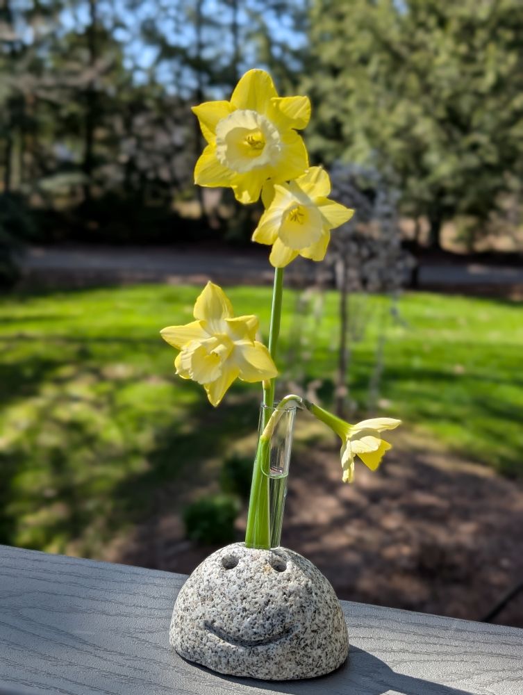 Blossom Buddy